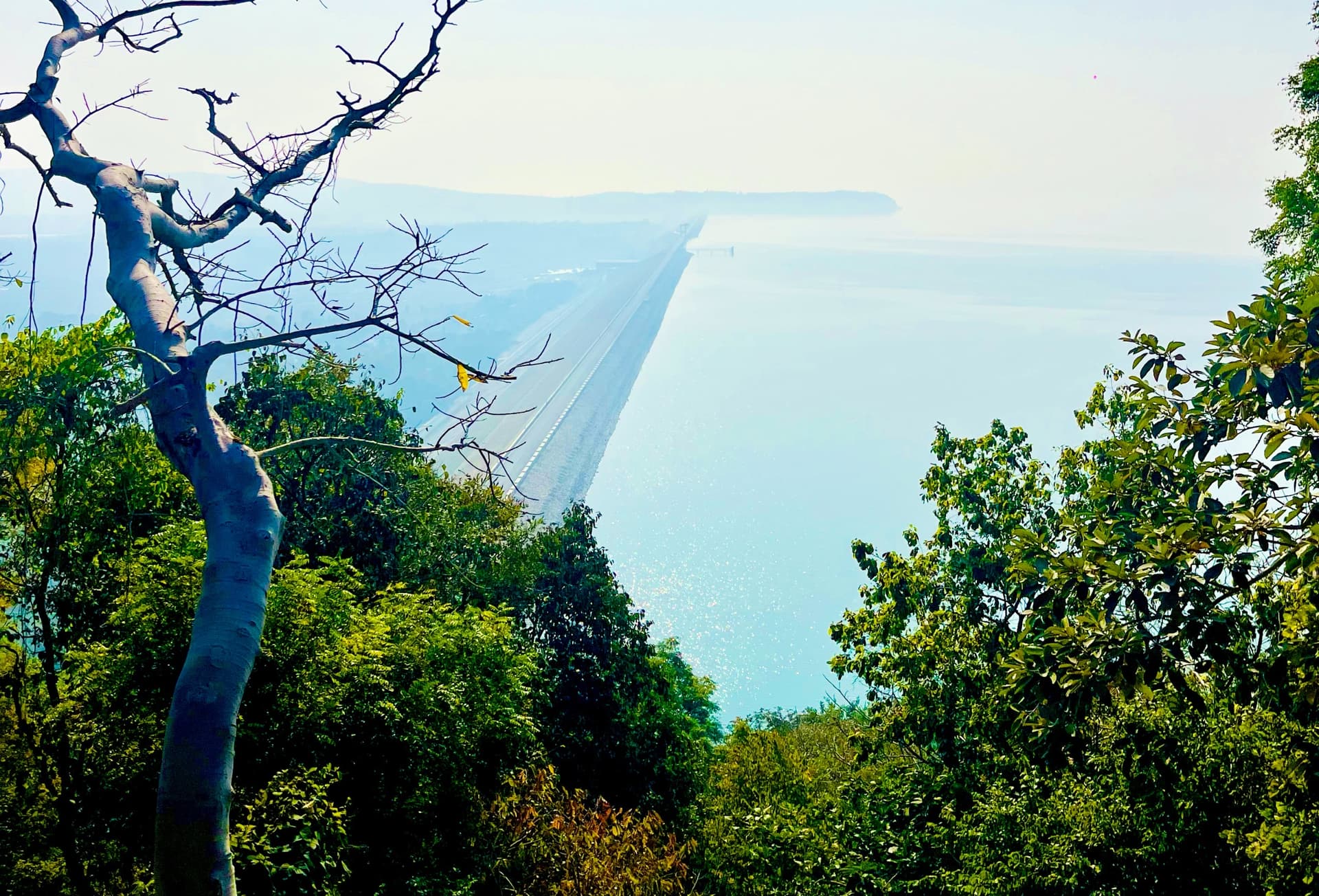 Odisha Walks-Hirakud Nature Trail