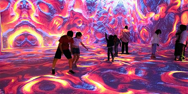 Immersive Art Experience – Digital & Interactive