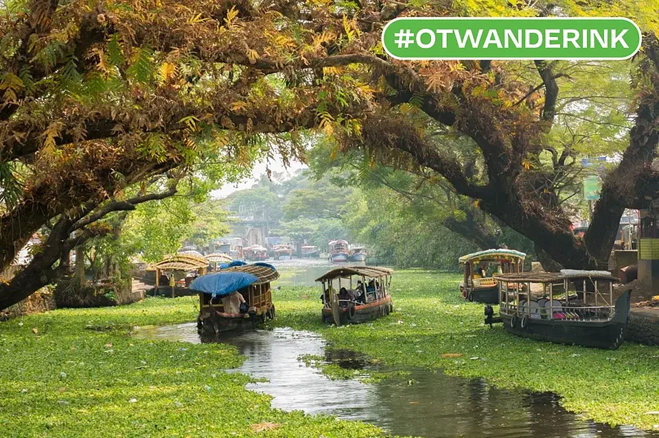 From Kochi To Vagamon: Discovering Kerala On My Own