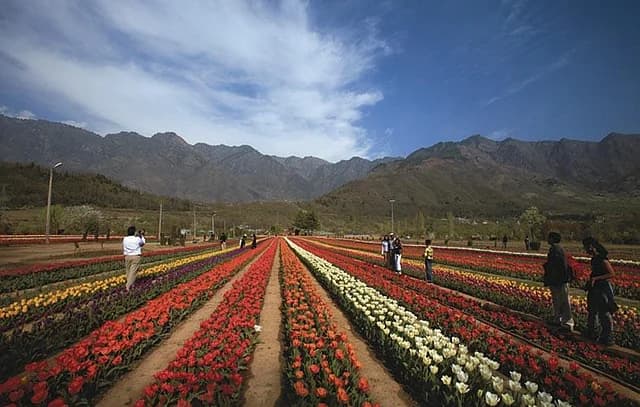 Long Weekends Sorted: Where To Travel In India From April To June