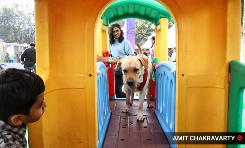 Pet Carnival Mumbai – Animal Lovers Meetup