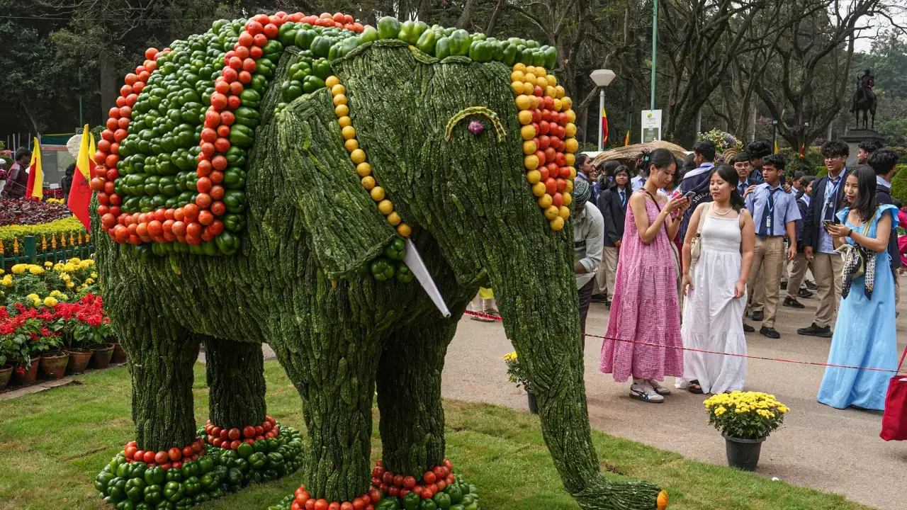 FREE Public Events & Flower Shows – Bengaluru