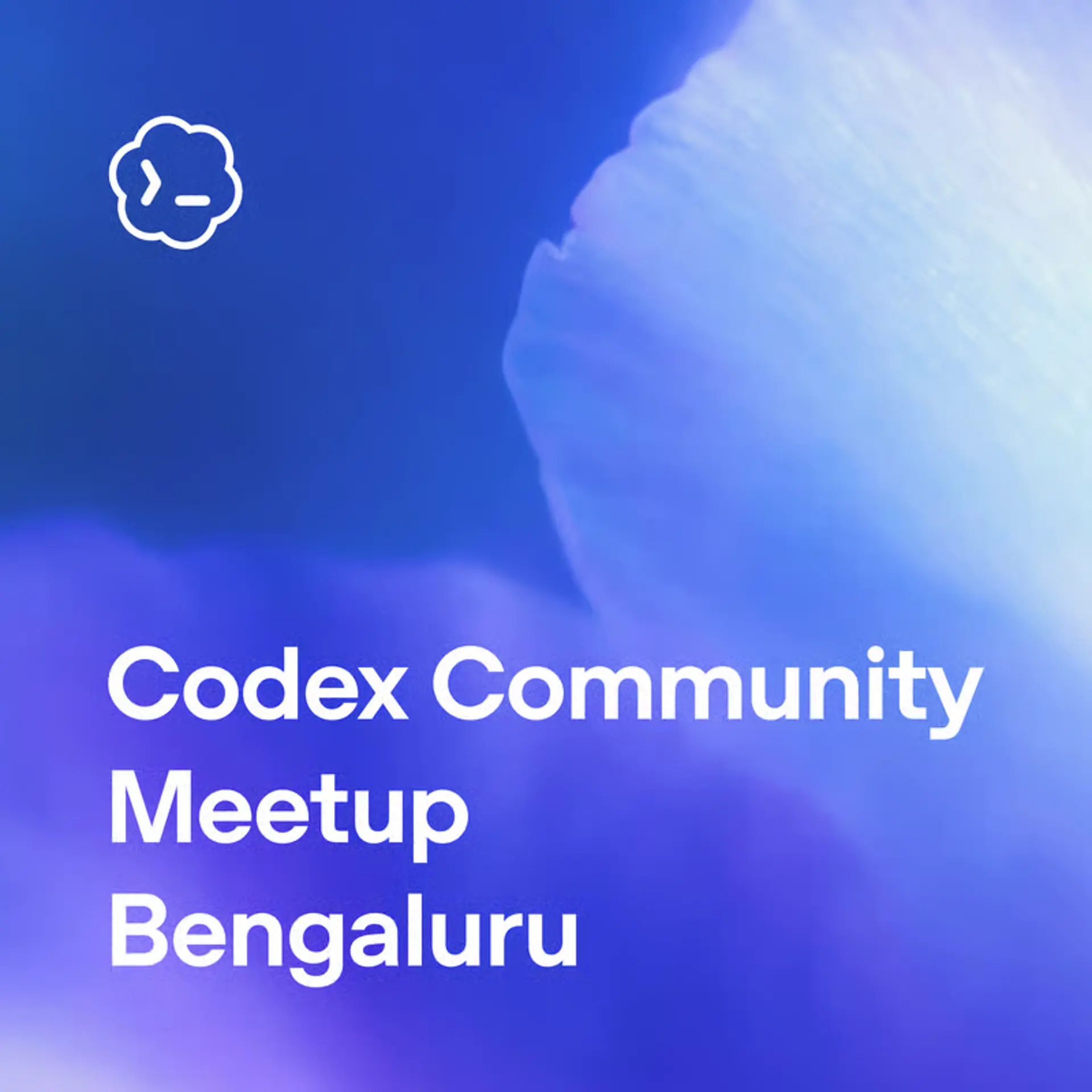 Codex Community Meetup – Bengaluru