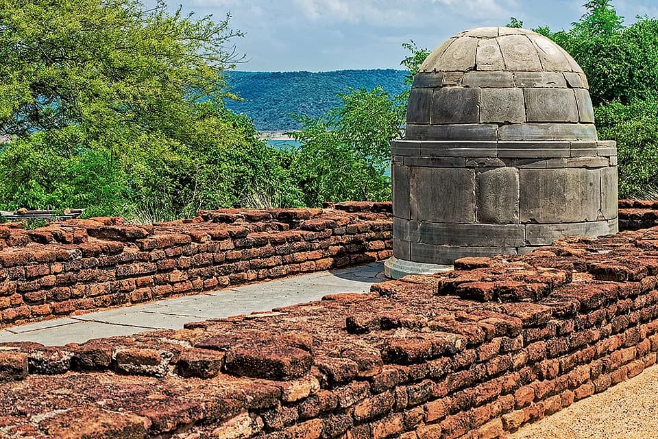 From The Latest Issue: The Southern Sangha