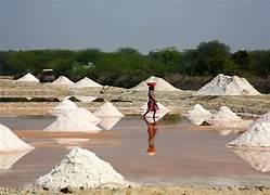Salt lines