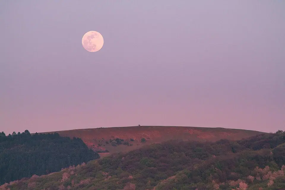 April’s Pink Moon Arrives Tonight—Here’s When & How To Watch It