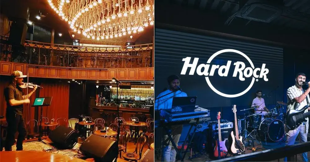 The Daily All Day — Acoustic & Rooftop Music Nights