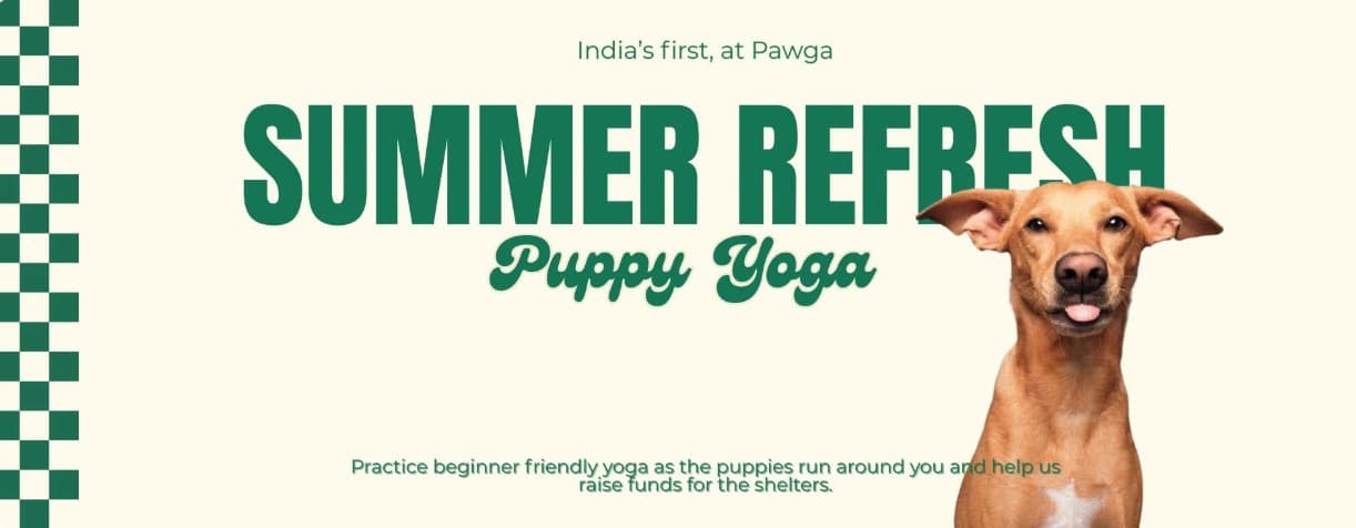 Chennai Summer Refresh Puppy Yoga at Lila Art Centre