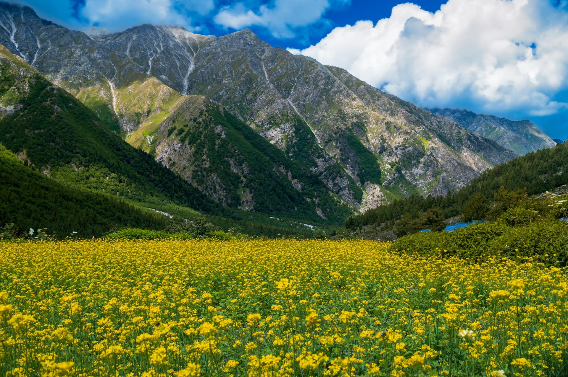 6 Hidden Himalayan Escapes In Himachal To Discover This May