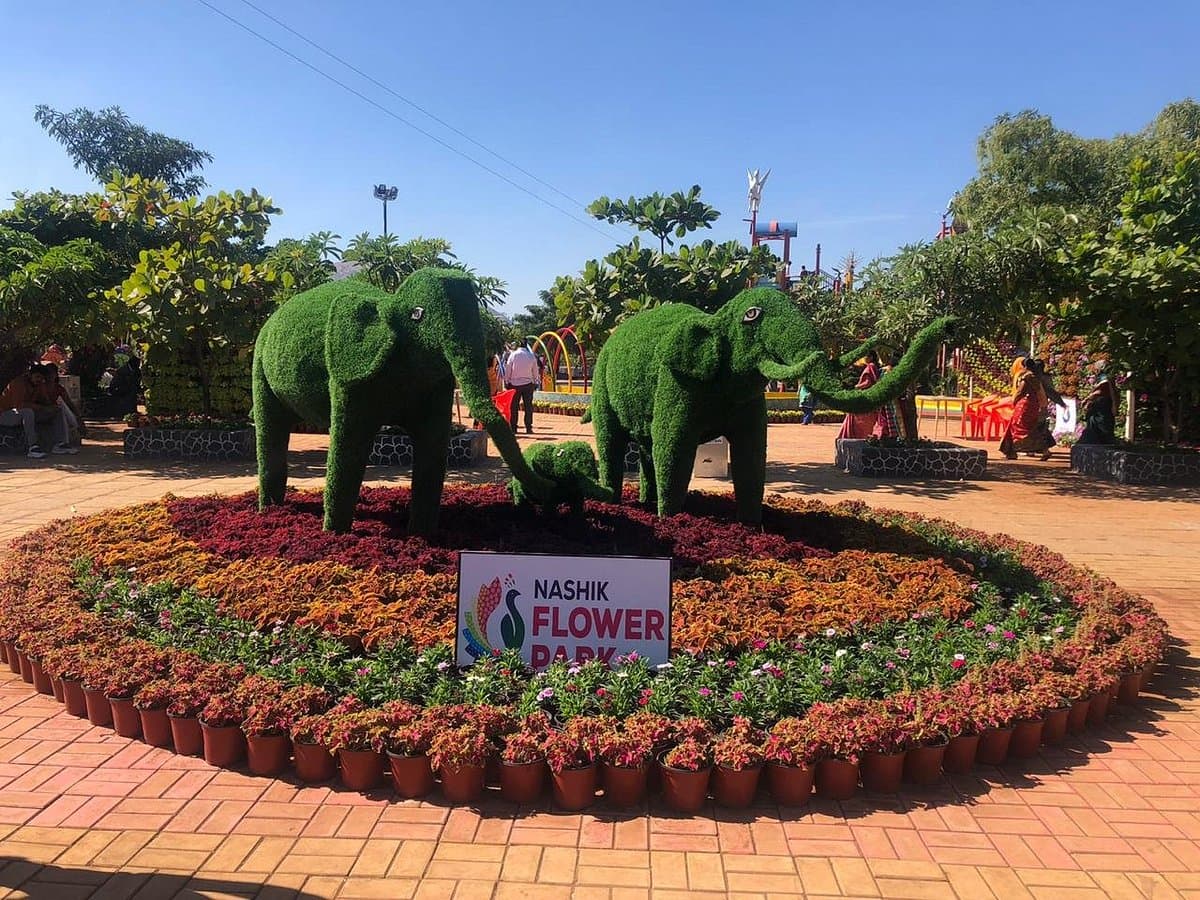 Flower Park Visit & Weekend Walk