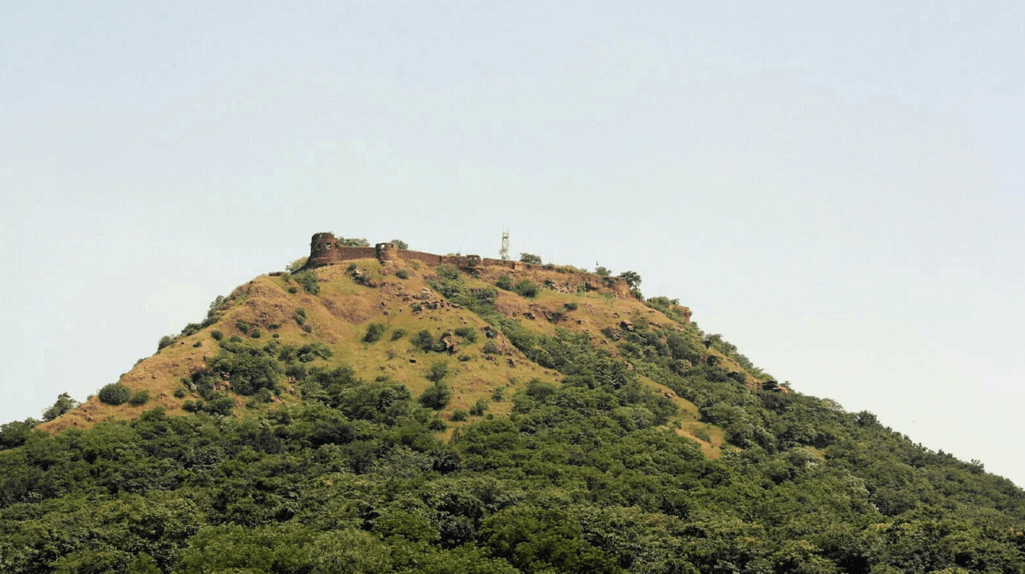 DUSSEHRA FAIR - SONGADH FORT