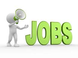Chartered Accountant at KPMG